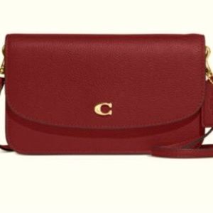 Coach crossbody cherry bag